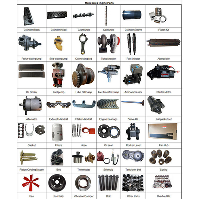 4BTA 3.9 4B 4BT Dişli Krank Mili Ekskavatör Dizel 3908031 3863276 için Motor Parçaları