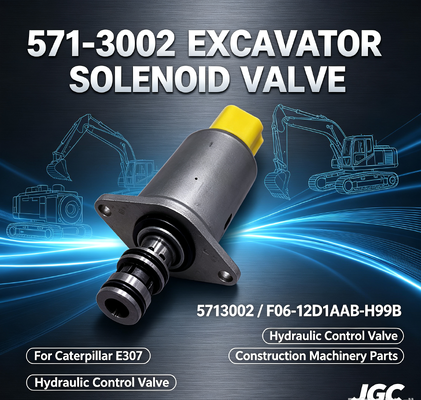 571-3002 5713002 Ekskavatör E307 Hidrolik Solenoid Valf F06-12D1AAB-H99B için
