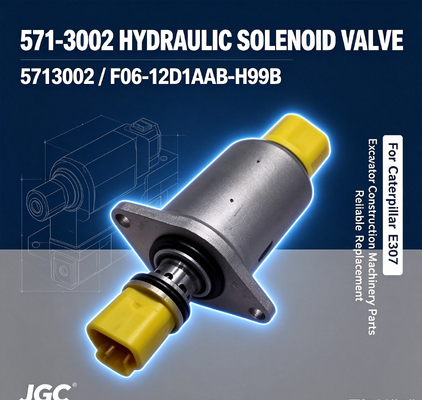 571-3002 5713002 Ekskavatör E307 Hidrolik Solenoid Valf F06-12D1AAB-H99B için